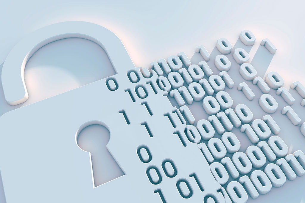 Privacy Policy & Data Protection